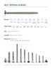 Self-Tapping Screws